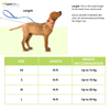 Trixie Flexi Classic Retractable Leash for Dogs and Cats (Red) Both-Collar, Leashes, harnesses Trixie