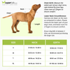 Pet Vogue No Pull Reflective Harness for Dogs (Black) Dogs-Collar, Leashes, harnesses Pet Vogue