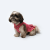 Pawgypets Formal Check Ruffle Dress for Dogs and Cats (Pink) Both-Clothing & Accessories Pawgypets Dropship M