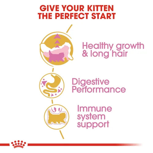 Royal Canin Persian Kitten Cat Dry Food