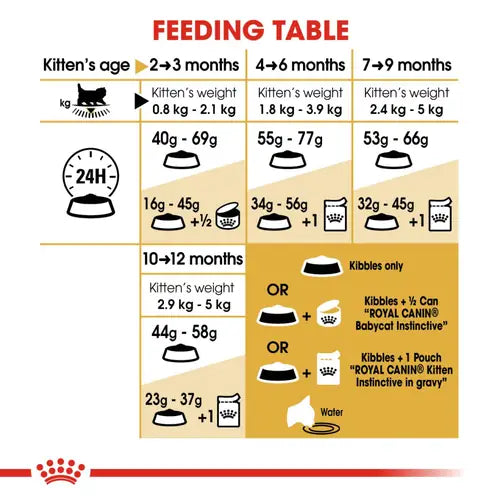 Royal Canin Persian Kitten Cat Dry Food