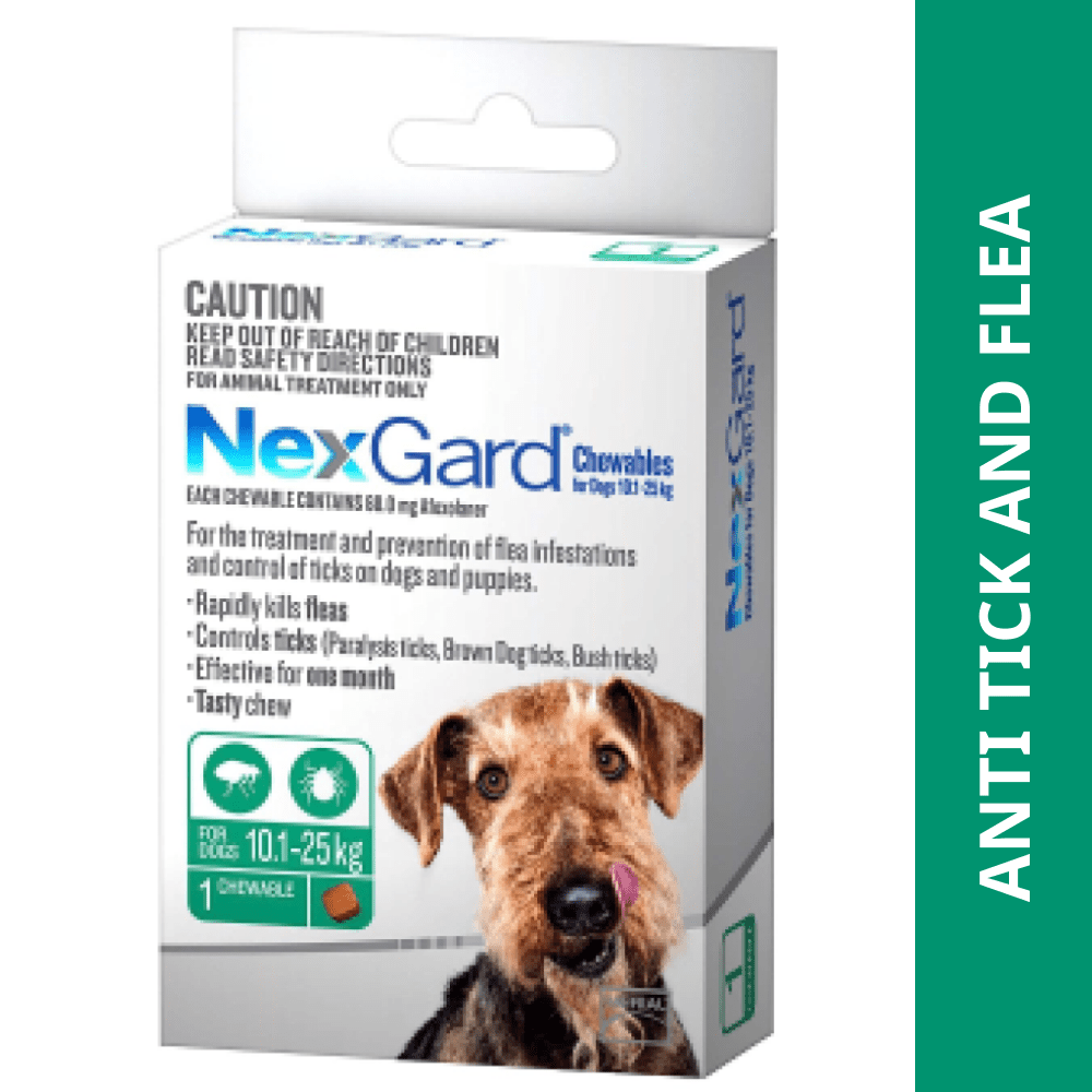 Buy Intas Livotas Liver Tonic for Dogs and Cats Online Supertails