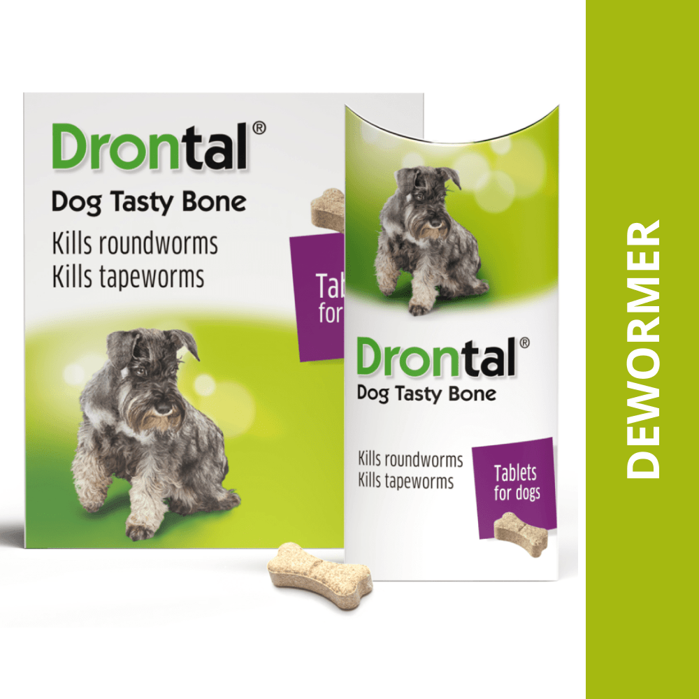 Bayer Drontal Plus Tasty Dog Deworming Tablet (pack of 6 tablets)