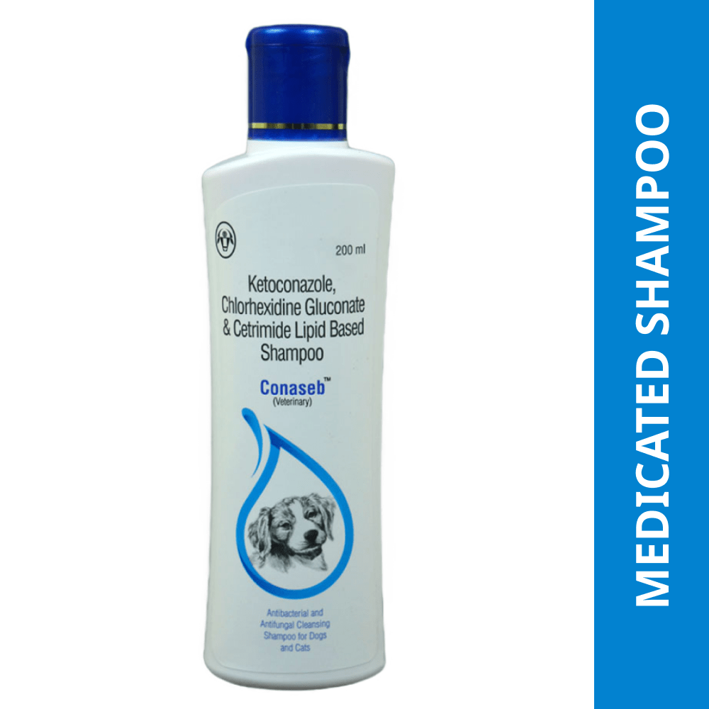 Buy Intas Conaseb Shampoo for Dogs Cats Online in India Supertails