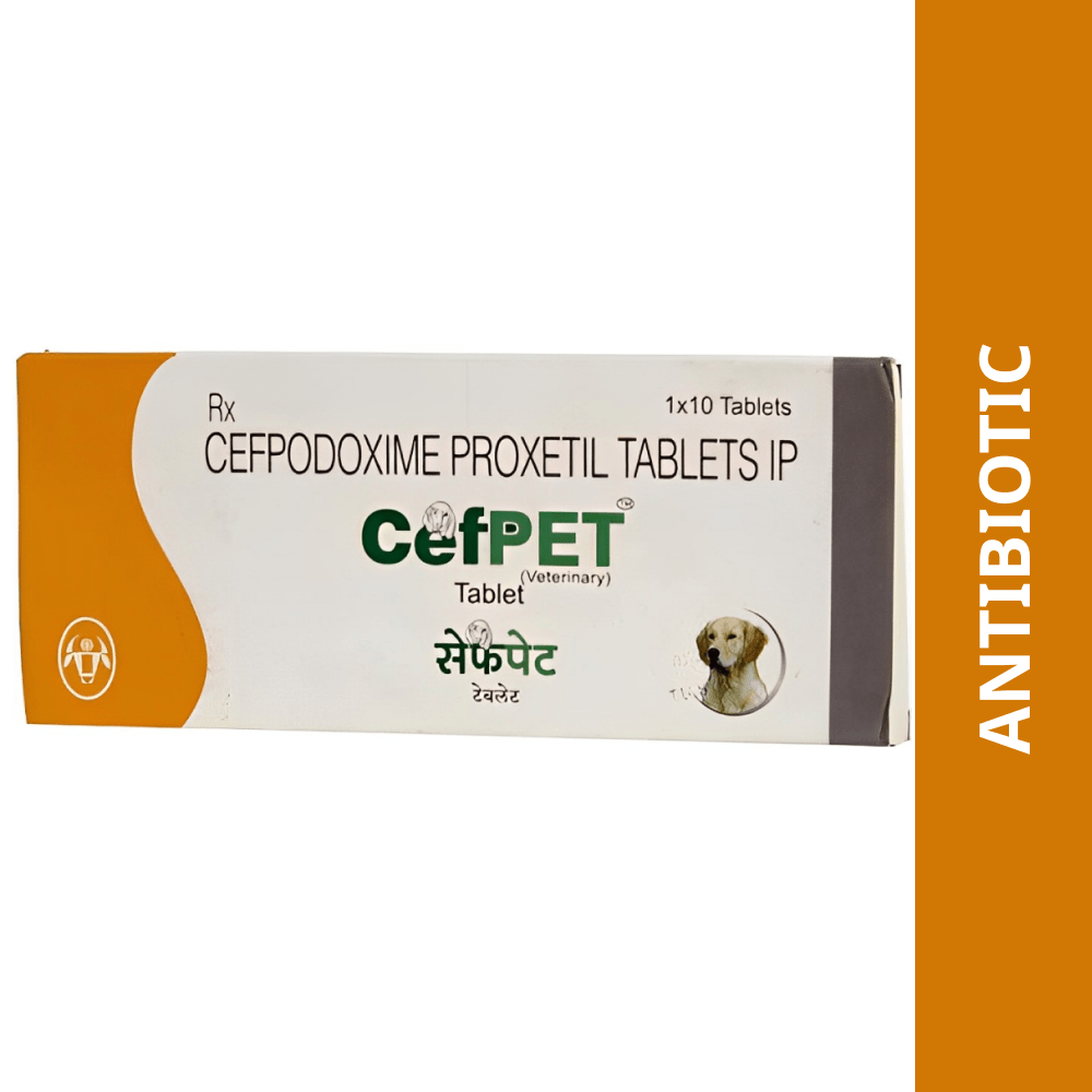 Intas Cefpet 100mg (Cefpodoxime Proxetil) Tablet for Dogs & Cats (pack of 10 tablets)