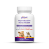 Petvit Reproductive Renal Health Tablet for Dogs and Cats (Limited Shelf Life) Both-Health & Wellness Petvit 30 pcs
