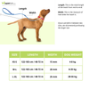 Trixie Classic Lead Fully Adjustable Leash for Dogs (Black) Dogs-Collar, Leashes, harnesses Trixie
