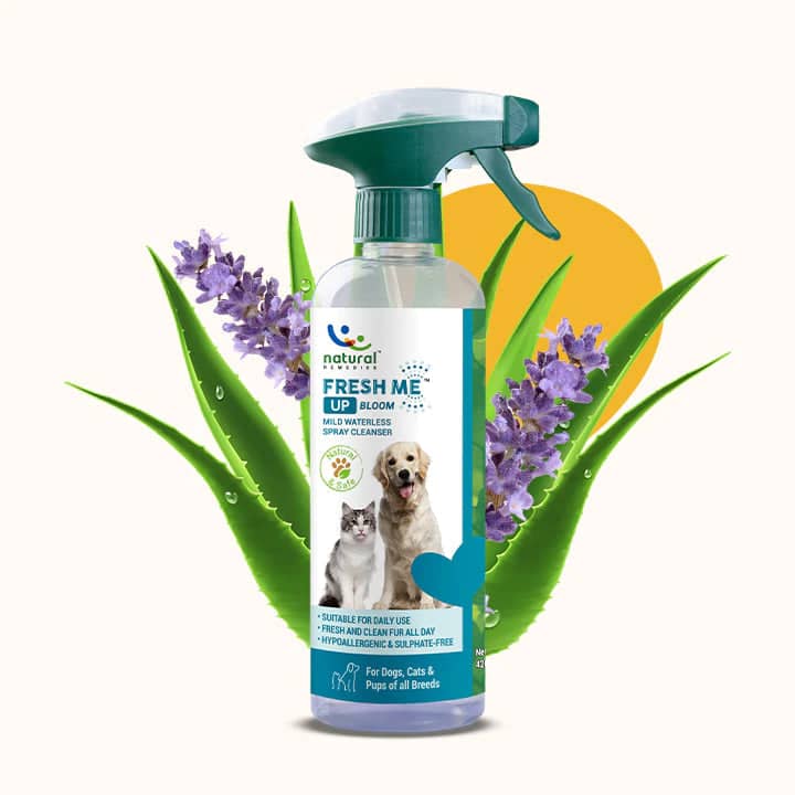 Natural Remedies Fresh Me Up Bloom for Pets