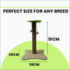 Basil Coconut Tree Toy for Kittens & Cats (Green/Brown) Cats-Toys Basil