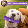 Pawsindia Rubber Bottle Chew Toy for Dogs (Purple) Dogs-Toys Pawsindia