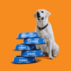 Kibbo Anti Skid Stainless Steel Printed Bowl for Dogs and Cats (Blue) Both-Bowls & Feeders Kibbo