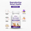 Petvit Reproductive Renal Health Tablet for Dogs and Cats (Limited Shelf Life) Both-Health & Wellness Petvit