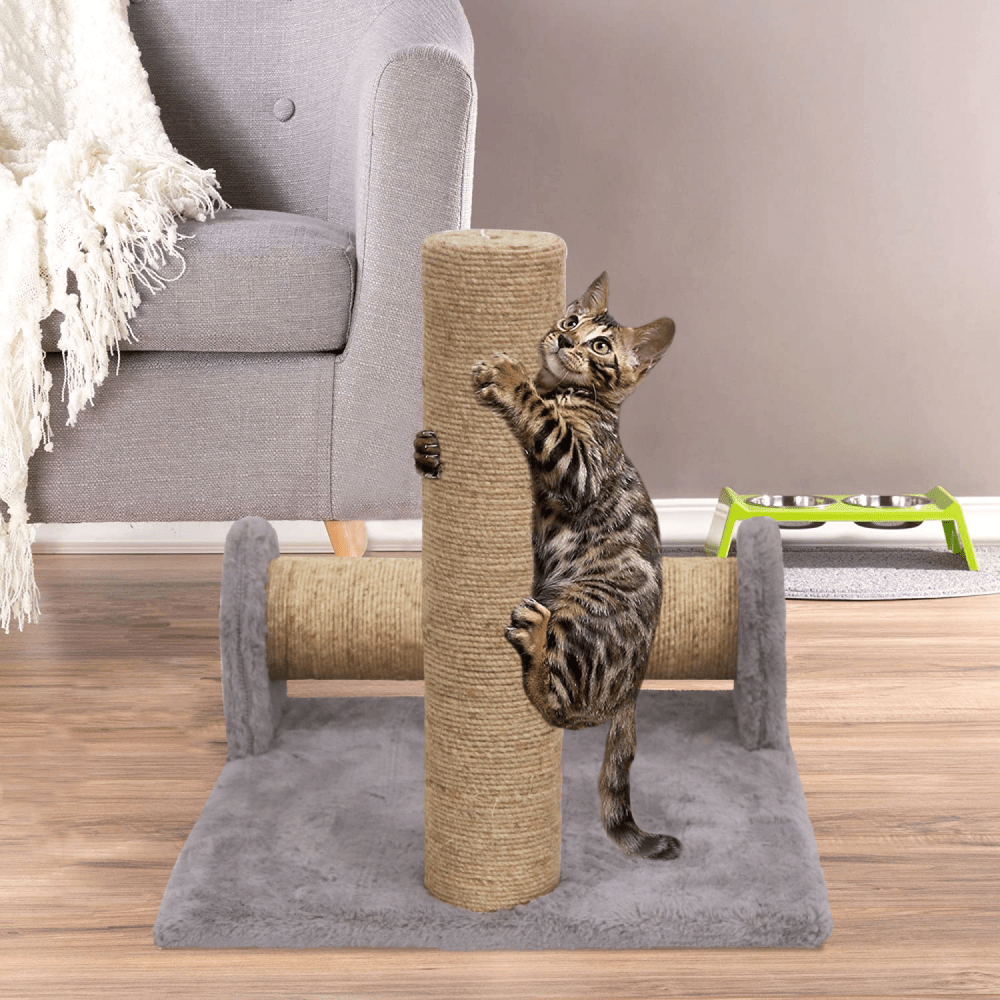 Sisal rope safe clearance for cats