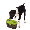 Goofy Tails Water Fountain Automatic Water Dispenser For Dogs (2L) Dogs-Bowls & Feeders Goofy Tails