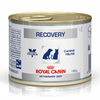 Royal Canin Recovery Canned Adult Pet Wet Food (Limited Shelf Life) Dogs-Wet Food Royal Canin V-Diet