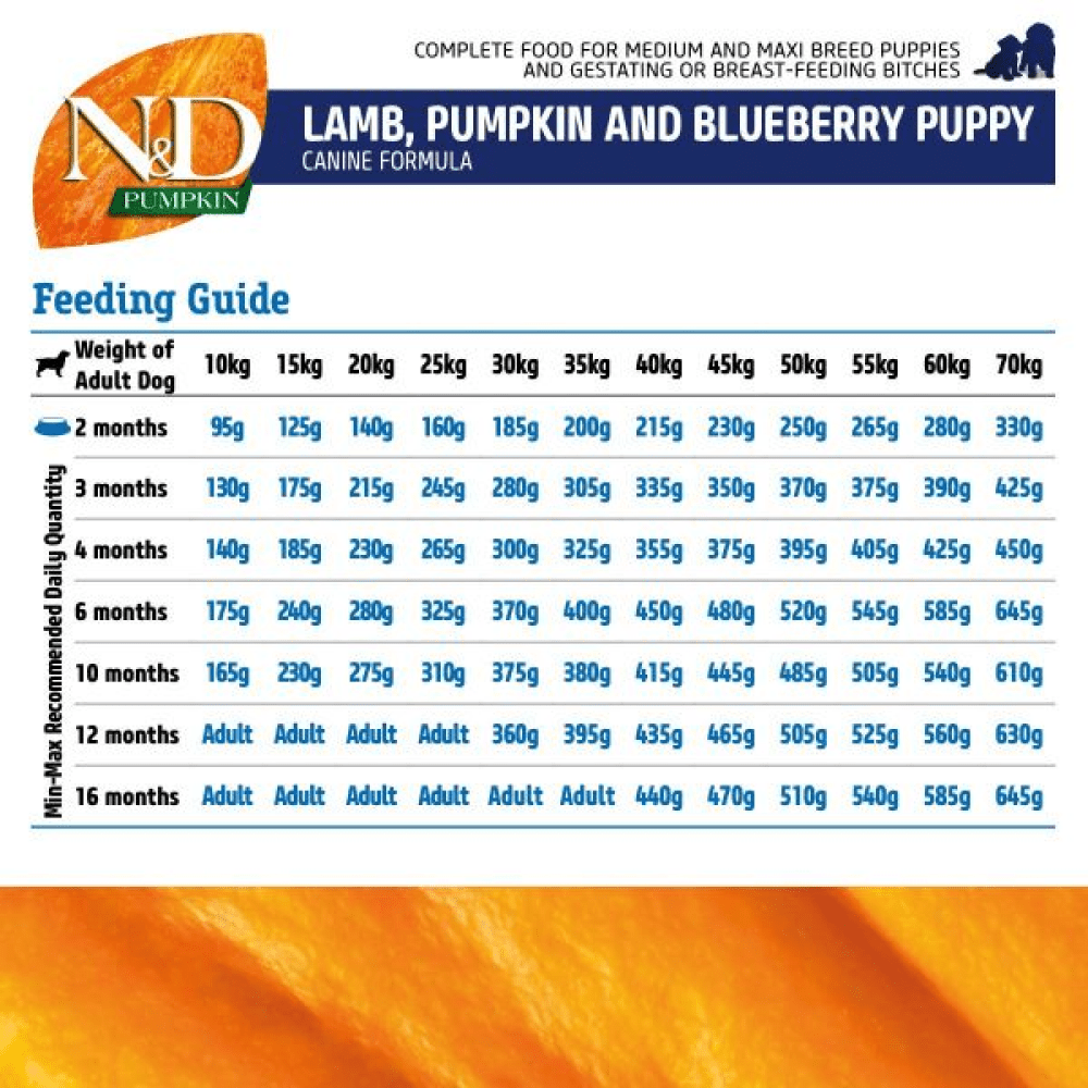 Farmina N&D Pumpkin Lamb & Blueberry Grain Free Puppy Medium Maxi Dog Dry Food (Limited Shelf Life) Dogs- Dry Food Farmina N&D