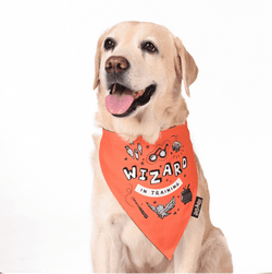 Harry Potter Woofy Wizard Bandana For Dogs
