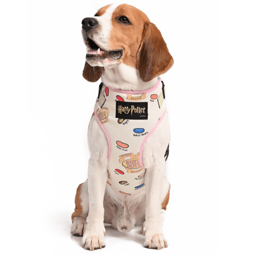 Harry Potter Every Flavour Bean Harness for Dogs Supertails