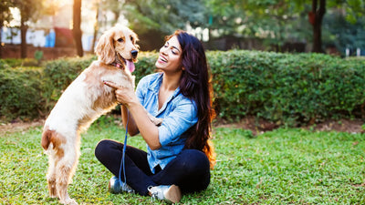 Bringing Home a New Dog? Here’s How to Help Your Pup Make a New Bestie!