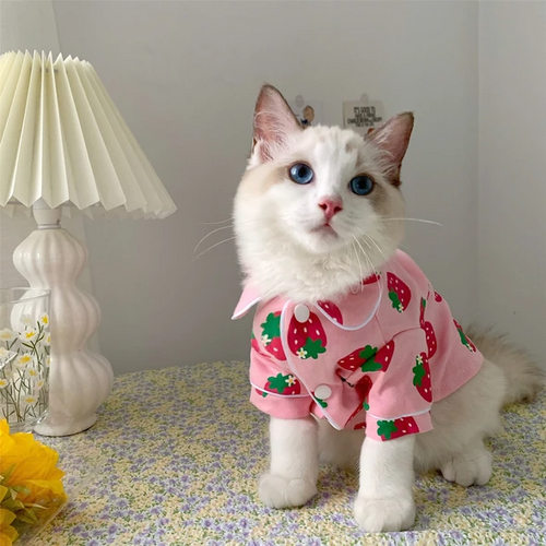 The best fits for your pet!