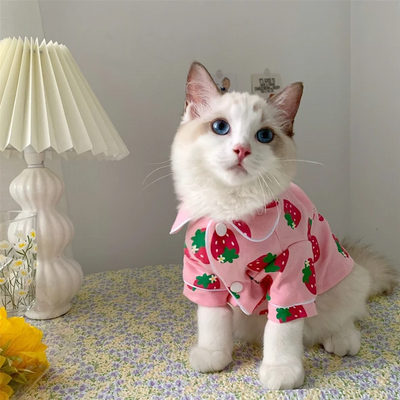 A Practical Guide to Pet Clothing