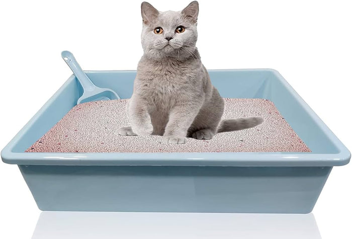 Why You Should Try Scented Cat Litter: Benefits & Risks