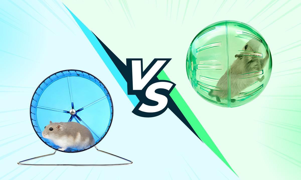 Hamster ball Vs Hamster Wheel