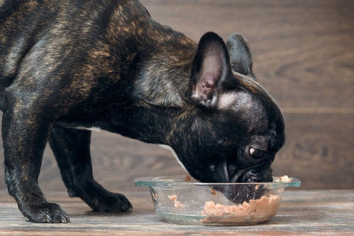Tips to Retain Wet Food