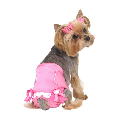 Do Female Dogs Experience Menstruation? Heat Cycle Explained