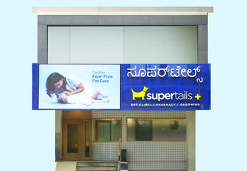 Supertails founders in Supertails Clinic in Bangalore