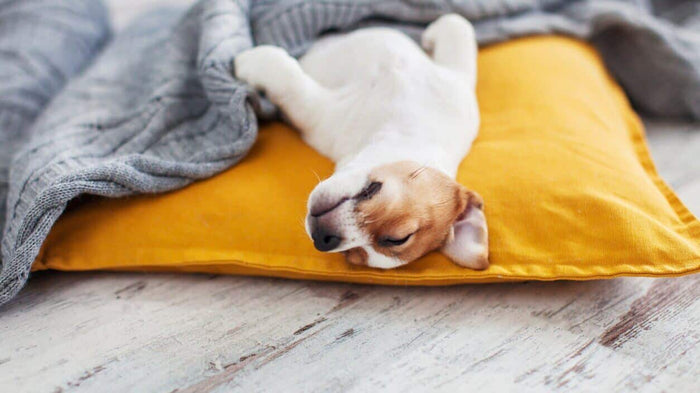 Tips on Creating a Sleep Schedule