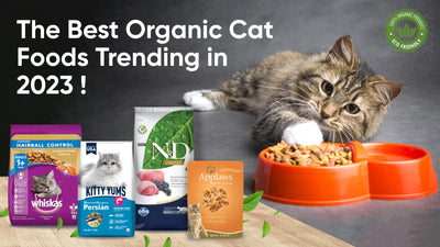 The Best Organic Cat Foods Trending in 2024