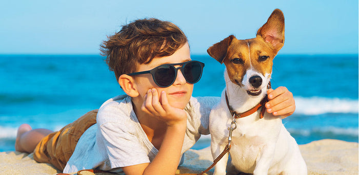 How Does Playtime Benefit Your Dog's Health and Wellbeing?