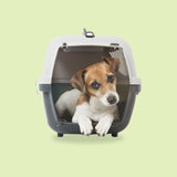 Dog Carriers & Travel Supplies