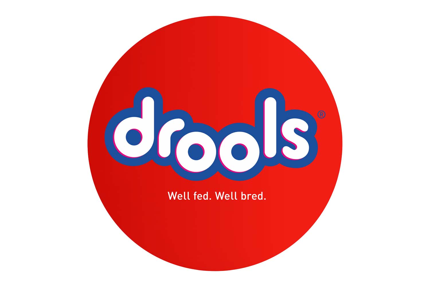 Drools: Buy Drools Pet Food Online at the Best Price | Supertails
