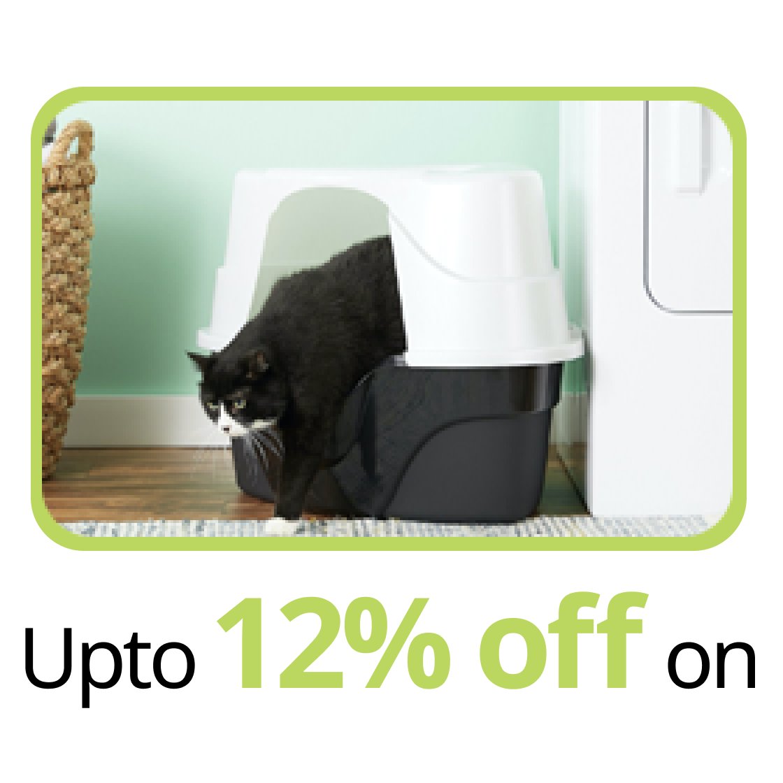 Buy Cat Litter Boxes and Toilets at Best Price In India Supertails