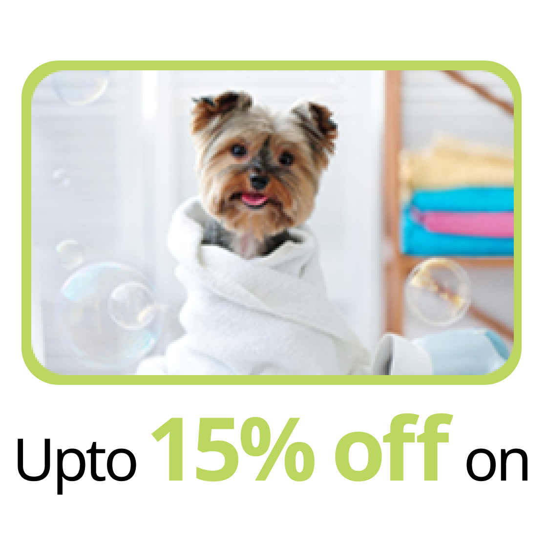 Grooming Tools Buy Dog Grooming Products Online in India Supertails