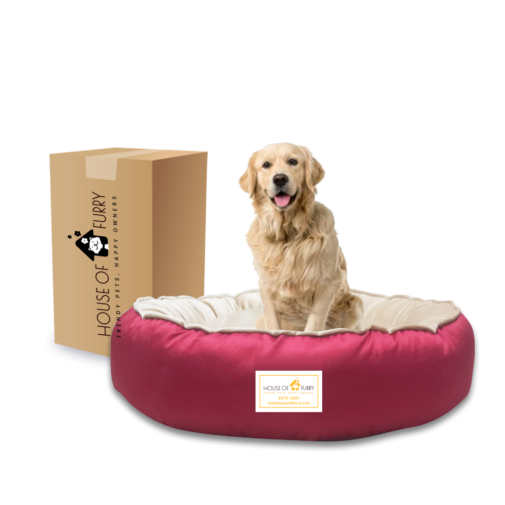 House of Furry Ultra Soft Velvet Luxury Donut Sofa Bed for Dogs and Cats (Multi Color)
