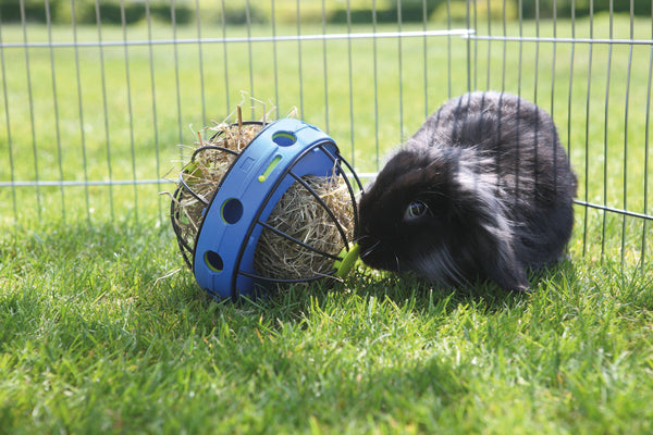 Savic Bunny Toy with Feeder for Rabbits