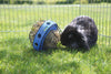 Savic Bunny Toy with Feeder for Rabbits Rabbits Savic