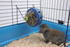 Savic Bunny Toy with Feeder for Rabbits Rabbits Savic 20x18cm