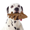 Talking Dog Club Dinosaur Nylon Bone Heavy Chew Toy for Dogs (Brown) Dogs-Toys Talking Dog Club Dropship