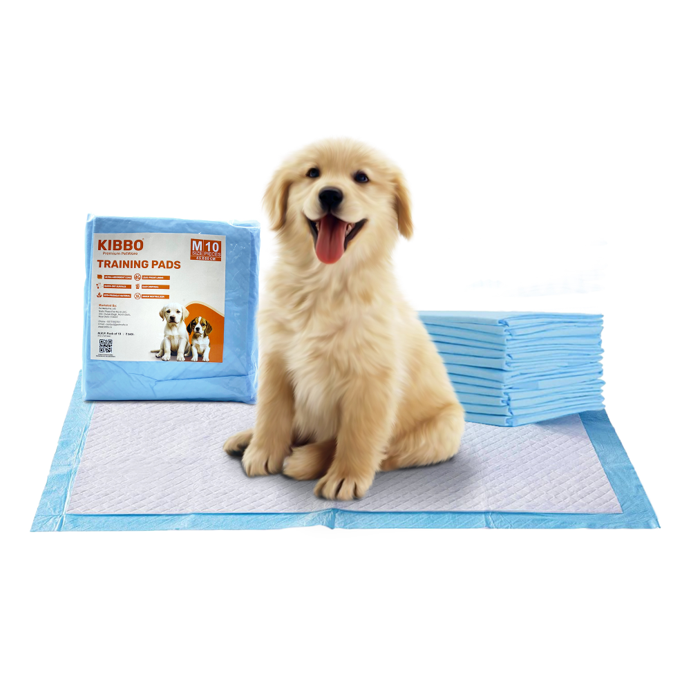 Kibbo Ultra Absorbent Leak Proof Training Pads for Dogs & Cats (45x60cm) Dogs-Health & Wellness Kibbo 10pcs