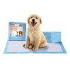 Kibbo Ultra Absorbent Leak Proof Training Pads for Dogs & Cats (45x60cm) Dogs-Health & Wellness Kibbo 10pcs