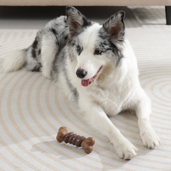 M Pets Chewood Bone with Rubber Chew Toy for Dogs (Brown)
