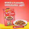Purina Friskies Chicken Flavour Gravy licious Kitten Cat Wet Food Cats- Dry food Friskies