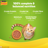 Friskies Indoor Delights Adult Cat Dry Food Cats- Dry food Friskies