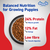 Drools Chicken and Egg Puppy Dog Dry Food Dogs- Dry Food Drools