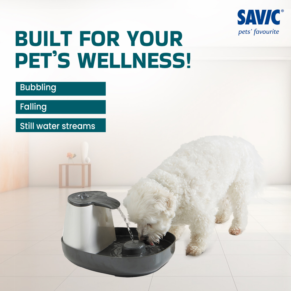 Savic Cascade Anthracite Water Fountain for Cats (Grey) Cats-Bowls & Feeders Savic Dropship