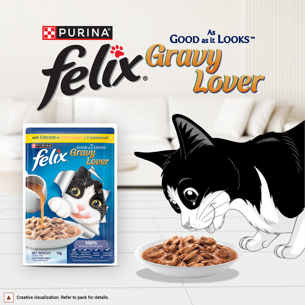 Purina Felix Gravy Lover Chicken Chunks Adult Complete and Balanced Cat Wet Food Cats-Wet Food Felix